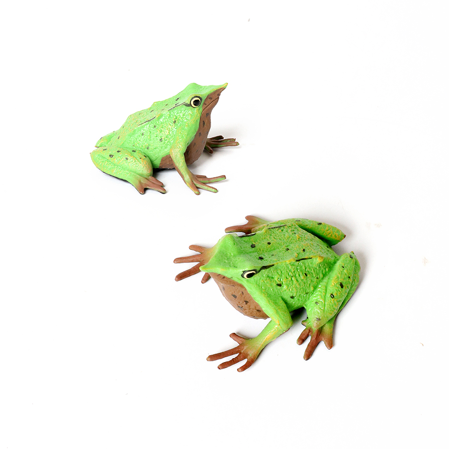 Rainforest Animals Frogs Figur - Kids Toys Reviews review and price