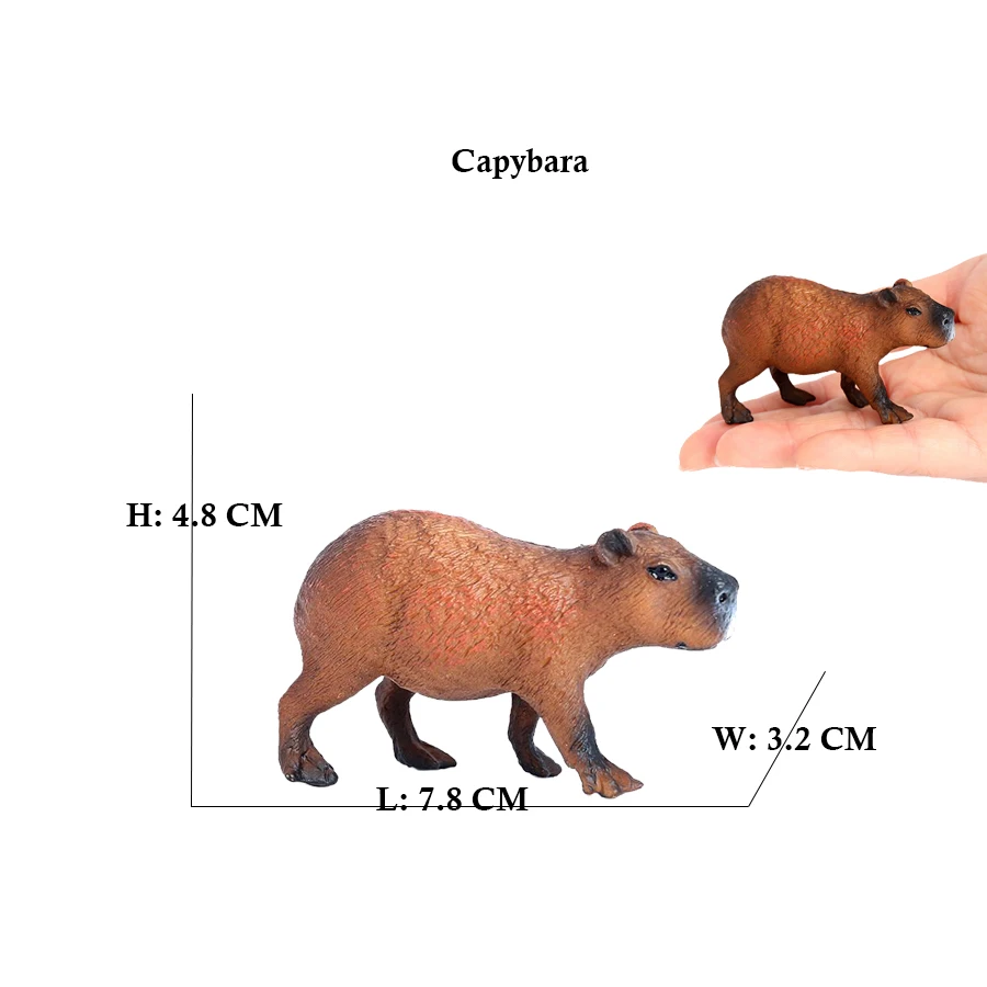 Capibara Capybaras Squirrel Ma - Kids Toys Reviews review and price